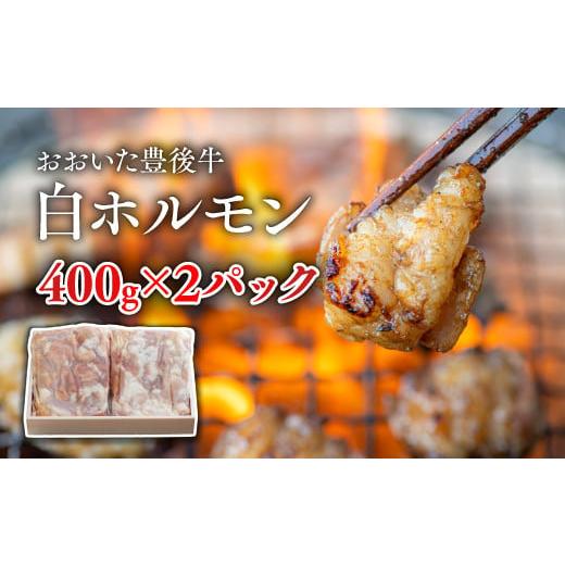 ふるさと納税 牛肉 ホルモン 大分県 豊後高田市  スピード発送 おおいた豊後牛 白ホルモン800g...