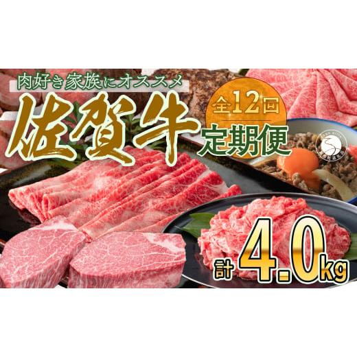 ふるさと納税 佐賀県 有田町 N200-5【毎月お届け！月に1度はお肉の日☆】 佐賀牛 定期便 12...