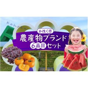 ふるさと納税 果物類 ぶどう 石川県 かほく市...の詳細画像1