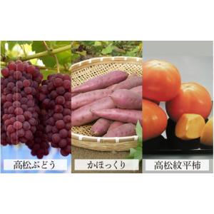 ふるさと納税 果物類 ぶどう 石川県 かほく市...の詳細画像2