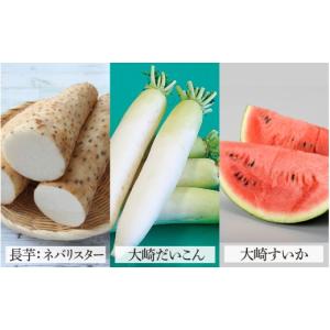 ふるさと納税 果物類 ぶどう 石川県 かほく市...の詳細画像3