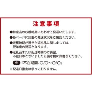 ふるさと納税 果物類 ぶどう 石川県 かほく市...の詳細画像4