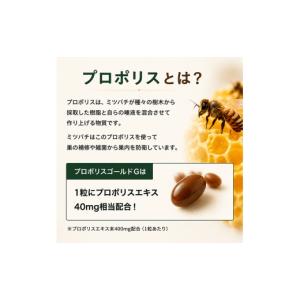 ふるさと納税 健康食品 岐阜県 池田町 プロポ...の詳細画像2