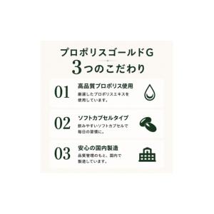 ふるさと納税 健康食品 岐阜県 池田町 プロポ...の詳細画像3