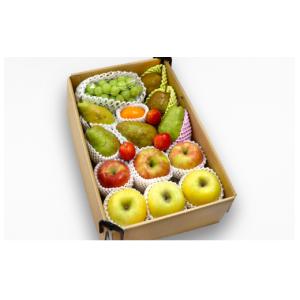 ふるさと納税 山形県 天童市 06D0430C　季節のフルーツ詰合せ(10月分)約5kg