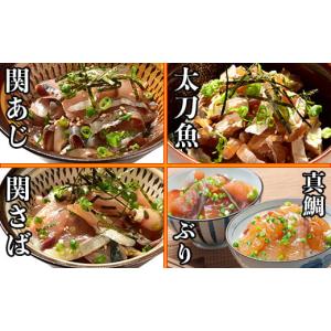 ふるさと納税 大分県 杵築市 豊後絆屋 りゅうきゅう(5...