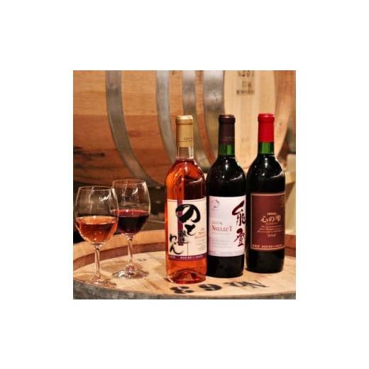 ふるさと納税 ワイン セット 石川県 穴水町 能登ワインと言えばコレ おすすめ 能登ワイン3本セット...