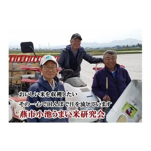 ふるさと納税 新潟県 燕市 【令和6年産米予約受付中】おかずのいらないコシヒカリ「つばめ返し」8kg...