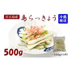 ふるさと納税 野菜類 沖縄県 宮古島市 島らっきょう（500g）AZ106