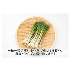 ふるさと納税 野菜類 沖縄県 宮古島市 島らっ...の詳細画像2