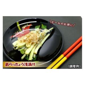 ふるさと納税 野菜類 沖縄県 宮古島市 島らっ...の詳細画像3