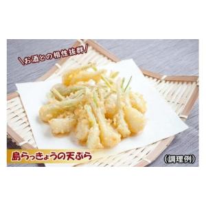 ふるさと納税 野菜類 沖縄県 宮古島市 島らっ...の詳細画像4