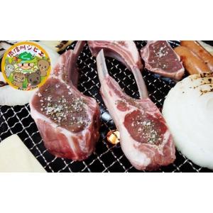 ふるさと納税 長野県 豊丘村 B-6 ラム肉グリルセット【羊肉】｜ふるさとチョイス