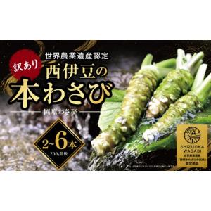 ふるさと納税 野菜類 薬味 静岡県 西伊豆町  世界農業遺産認定 訳あり 無農薬 本わさび 2〜6本 12月・1月除く 生わさび 西伊豆 伊豆 天城山 清流 岡原わさび …｜ふるさとチョイス