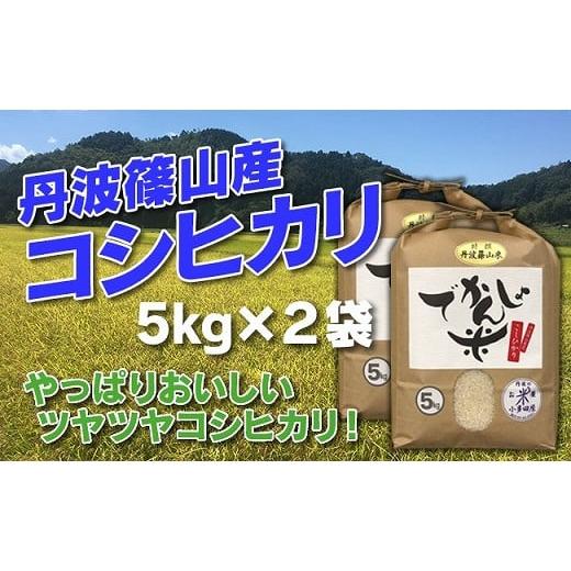 ふるさと納税 兵庫県 丹波篠山市 お米のおいしさ伝えたい！丹波篠山産コシヒカリ5kg×2