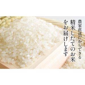 ふるさと納税 米 コシヒカリ 兵庫県 丹波篠山...の詳細画像4