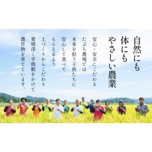 ふるさと納税 米 コシヒカリ 兵庫県 丹波篠山...の詳細画像5