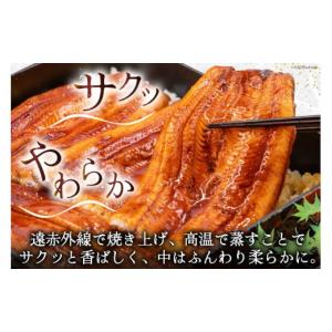 ふるさと納税 うなぎ 静岡県 吉田町 うなぎ ...の詳細画像3
