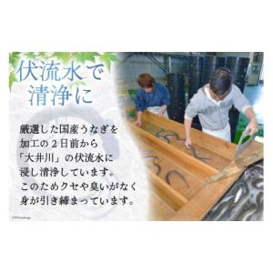 ふるさと納税 うなぎ 静岡県 吉田町 うなぎ ...の詳細画像5