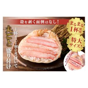ふるさと納税 カニ 兵庫県 香美町 ランキング...の詳細画像4