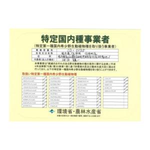 ふるさと納税 雑貨・日用品 花 岩手県 住田町...の詳細画像4