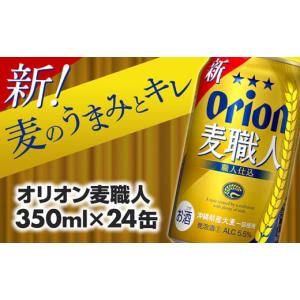 ふるさと納税 ビール 地ビール 沖縄県 八重瀬...の詳細画像1