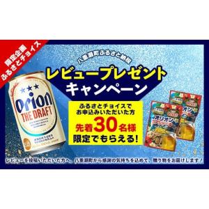 ふるさと納税 ビール 地ビール 沖縄県 八重瀬...の詳細画像4
