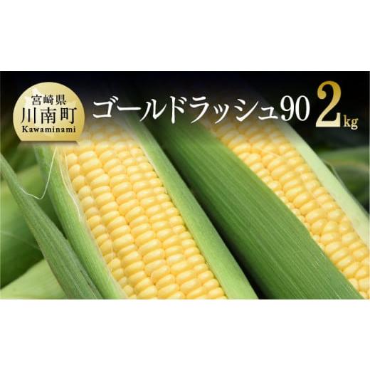 ふるさと納税 宮崎県 川南町 【令和6年発送】政岡さんちのスイートコーン『ゴールドラッシュ90』2k...