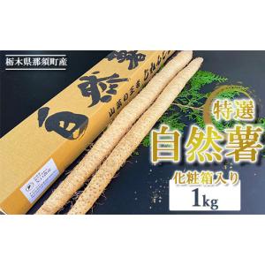 ふるさと納税 野菜類 山菜 栃木県 那須町 那須町産 自然薯 1kg 化粧箱入り | 贈り物 とろろ とろろご飯 山芋 健康 国産 産地直送 那須 栃木県 那須町〔P-351〕…