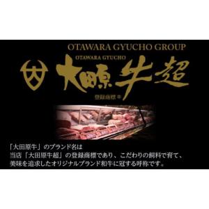ふるさと納税 牛肉 ロース 栃木県 大田原市 ...の詳細画像2