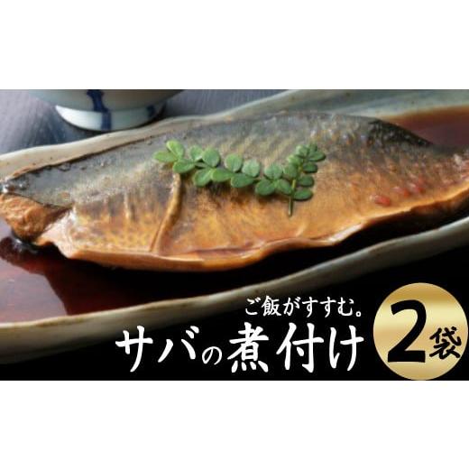 ふるさと納税 魚貝類 高知県 室戸市 ＥＰＡが豊富 初音のサバの煮付け 半身×２枚 さば 鯖 DHC...
