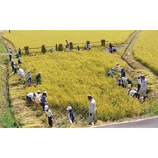 ふるさと納税 兵庫県 加西市 市民農園利用権1年間