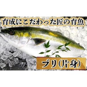 ふるさと納税 高知県 須崎市 ぶり 2節 ( 約10人前 ) 薬味
