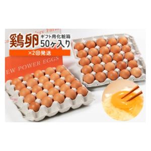ふるさと納税 卵（鶏、烏骨鶏等） 茨城県 小美玉市  定期便 鶏卵 計100個　ギフト用化粧箱50個（45＋補償5個）入り ×2回発送　 定期便 3週間後 たまご タマゴ…｜ふるさとチョイス