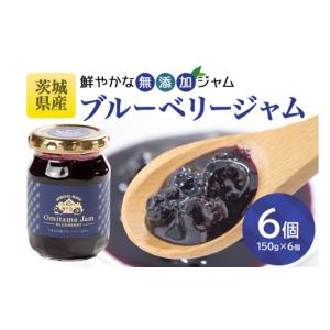 ふるさと納税 ジャム ブルーベリー 茨城県 小美...の商品画像