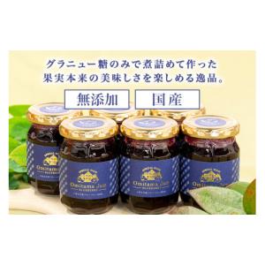 ふるさと納税 ジャム ブルーベリー 茨城県 小...の詳細画像2
