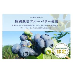 ふるさと納税 ジャム ブルーベリー 茨城県 小...の詳細画像3