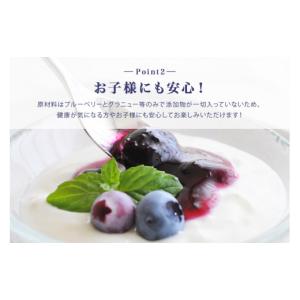 ふるさと納税 ジャム ブルーベリー 茨城県 小...の詳細画像4