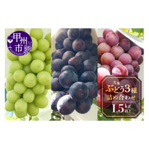 ふるさと納税 ぶどう マスカット 山梨県 甲州市 甲州屋厳選 大房ぶどう3種詰め合わせ 1.5kg以上 2026年発送 B15-130 シャインマスカット ぶどう 葡萄 ブドウ …