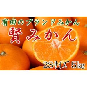 ふるさと納税 和歌山県 有田川町 [秀品]有田のブランドみかん「賢みかん」5kg(2Sサイズ)【20...