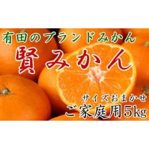 ふるさと納税 和歌山県 有田川町 有田のブランド「賢みかん」5kg(S〜Lサイズおまかせ）ご家庭用【...