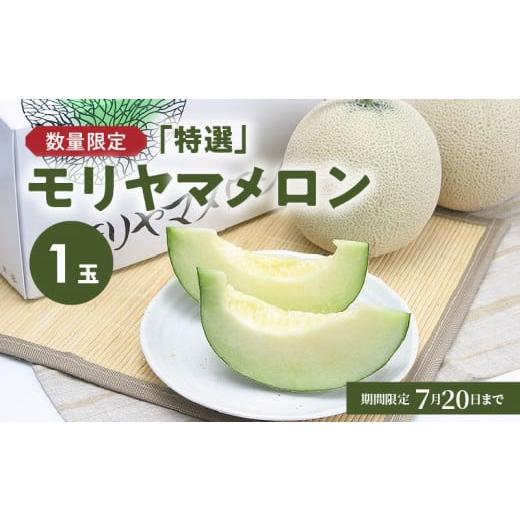 ふるさと納税 メロン メロン青肉 滋賀県 守山市 数量限定 7月〜8月中旬お届け 「特選」モリヤマ...