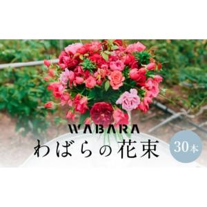 ふるさと納税 花・苗木 花束 滋賀県 守山市 わばらの花束30本　 WABARA 摘みたて ブーケ 花束 Rose Universe AT-0002J