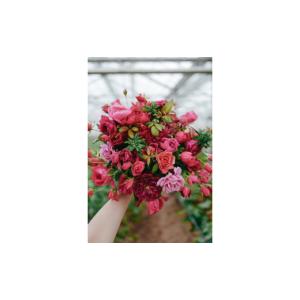 ふるさと納税 花・苗木 花束 滋賀県 守山市 ...の詳細画像3