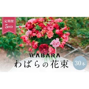 ふるさと納税 花・苗木 花束 滋賀県 守山市 わばら花束30本定期便　５回分　 WABARA 摘みたて ブーケ 花束 Rose Universe AT-0020