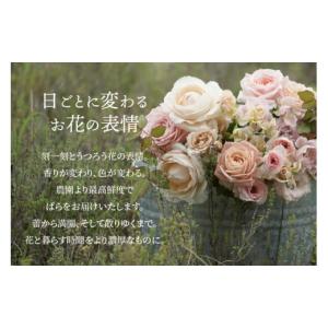 ふるさと納税 花・苗木 花束 滋賀県 守山市 ...の詳細画像3