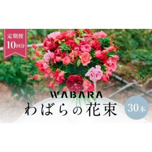 ふるさと納税 花・苗木 花束 滋賀県 守山市 わばら花束30本定期便　１０回分　WABARA 摘みたて ブーケ 花束 Rose Universe AT-0023