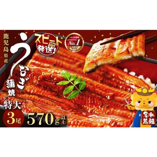 ふるさと納税 惣菜・レトルト 冷凍 鹿児島県 志布志市 鹿児島県産うなぎ蒲焼 名水慈鰻 特大3尾(1...