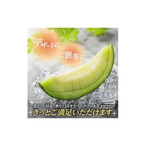 ふるさと納税 メロン メロン青肉 山形県 酒田...の詳細画像3