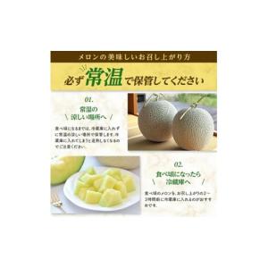 ふるさと納税 メロン メロン青肉 山形県 酒田...の詳細画像4